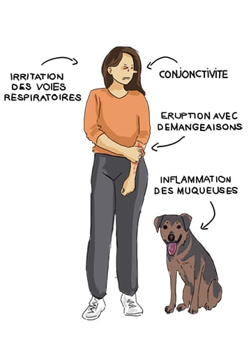 Irritation des voies respiratoires, conjonctivite, éruption avec démangeaisons, inflammation des muqueuses.