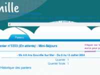 5. Je suis dirigé vers mon panier pour procéder au paiement.