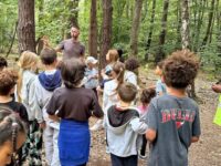 Sur les traces des animaux