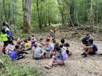 Sur les traces des animaux