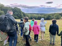 Sur les traces des animaux