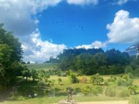 Entre faune, futur et châteaux