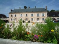 Le poney pour les grands