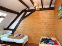 Le poney pour les grands