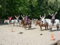 Le poney pour les grands