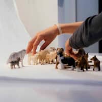 Un enfant crée une scène en stop-motion.