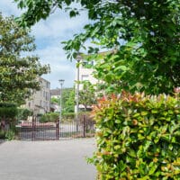 La nature renforce sa place au Puits Mottet.
